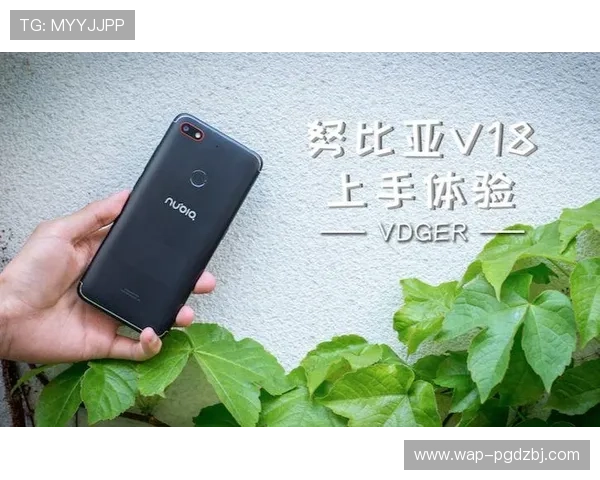 PG电子模拟器官网下载教程，详细操作步骤帮助新手快速上手体验